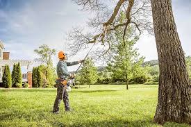 Best Tree Removal Services  in Meggett, SC